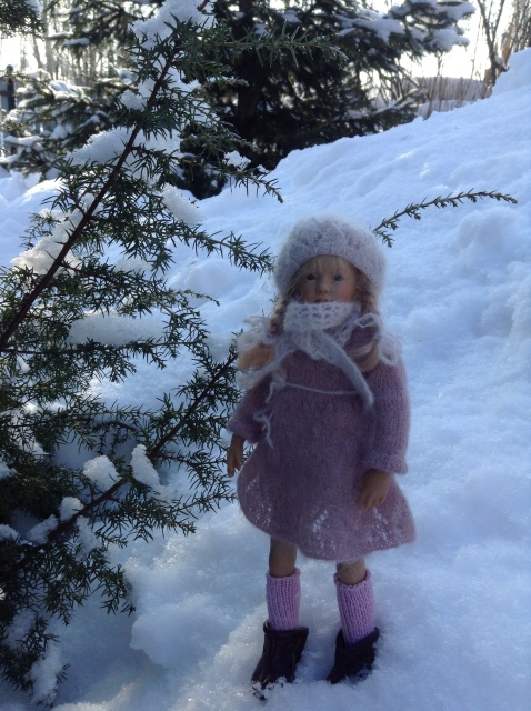 Зимняя фотосессия Сири. Siri mini club A. Himstedt (фото 8)