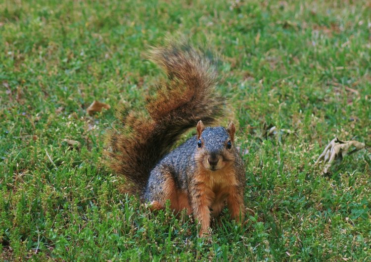 Субботняя прогулка — Болталка и разговоры обо всем: жизнь (фото 3)