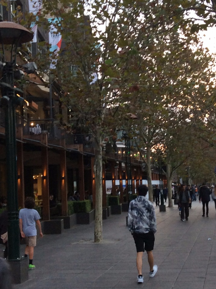 Осень в Австралии — Одежда и обувь для кукол BJD (БЖД): 1/3