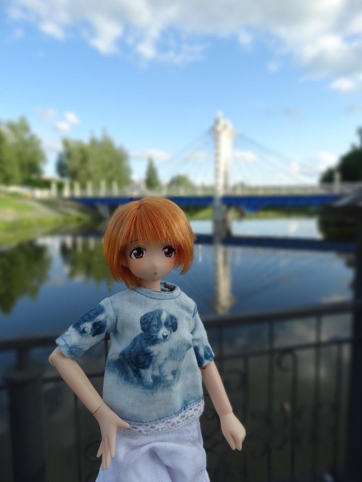 Путешествие с Азоночками Azone doll