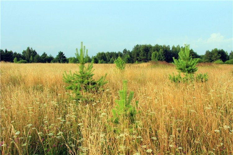 Тверской Водопад — Туризм и путешествия: фотоотчеты из поездок