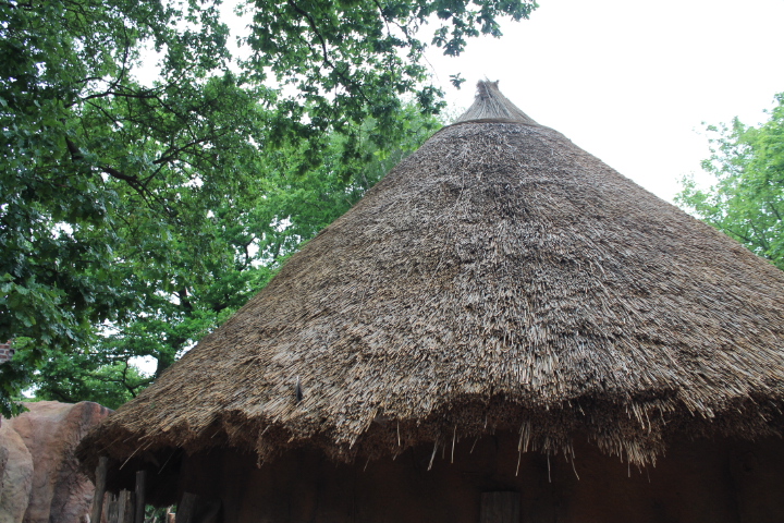 По Германии: зоопарк Лейпцига, часть 3