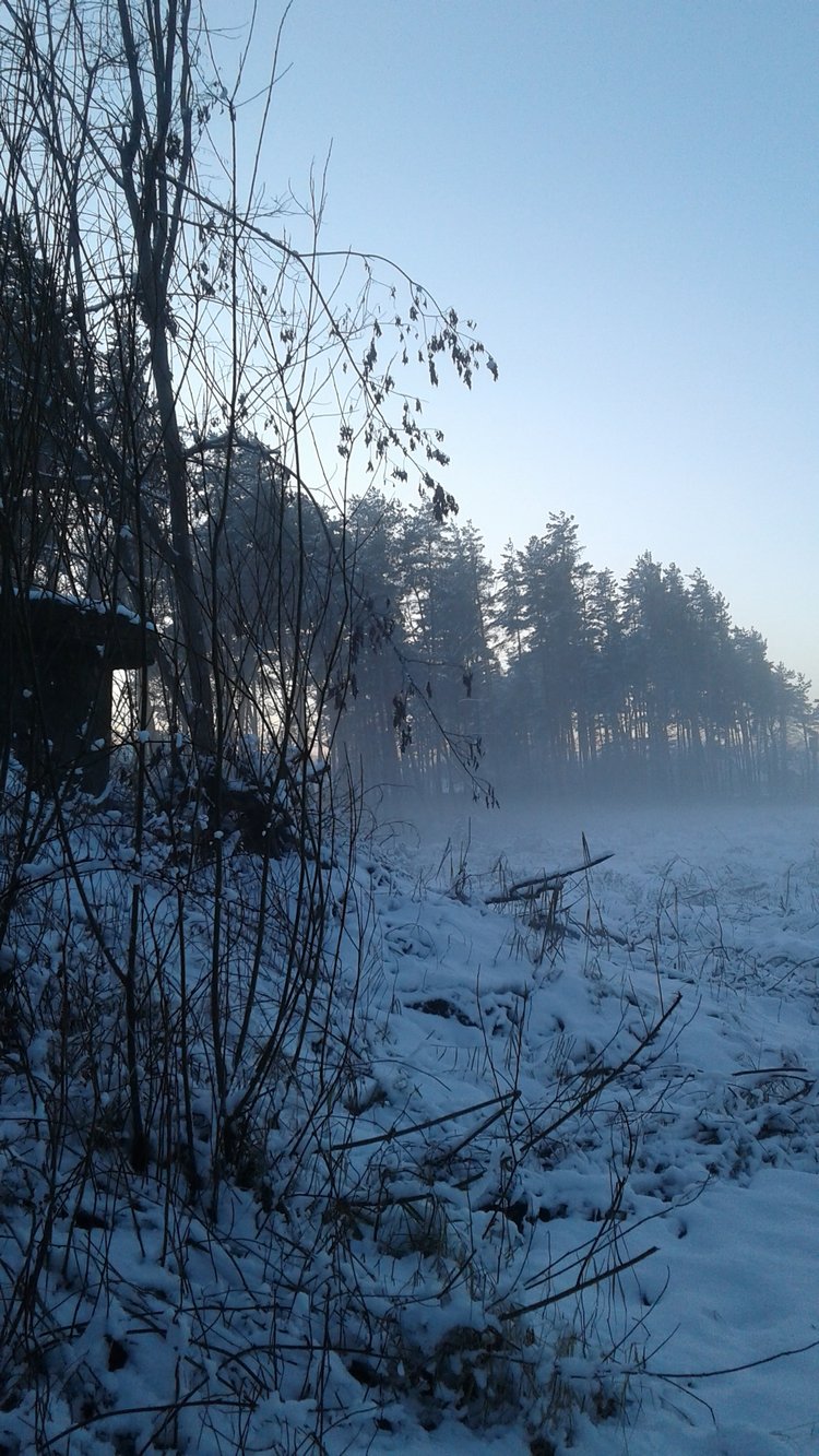 Зимнее солнце. Глава 27. Досуг