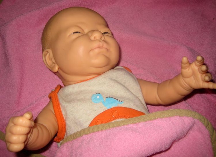 Малышка Berjusa, Berenguer