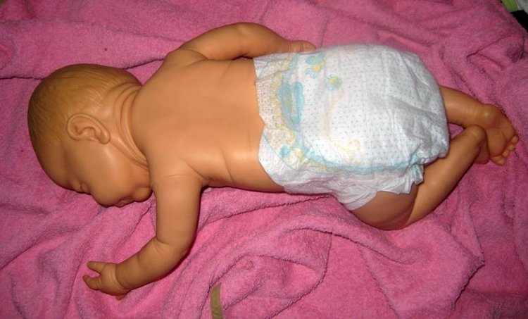 Малышка Berjusa, Berenguer