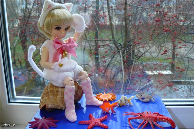 Планета Кошек. LittleFee Ante Elf Зарянка и LittleFee Leah Миланка | Бэйбики Планета Кошек. LittleFee Ante Elf Зарянка и LittleFee Leah Миланка (фото 7)