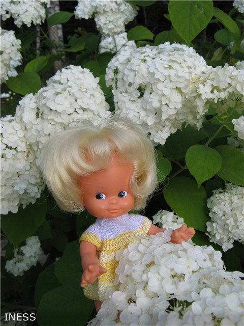 Поездка на дачу — Винтажные куклы ГДР (Немки): Бигги (фото 6)