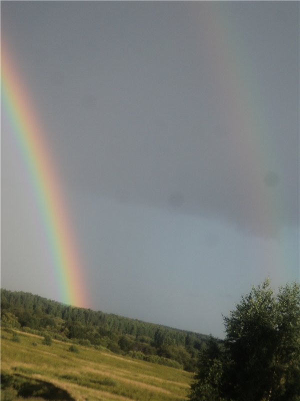 Ждем лета и верим в чудо! Куклы Готц и наряды