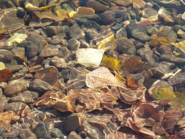 Осень золотая пора. Натали, LUTS (мейк от WOLKOLAK) (фото 9)