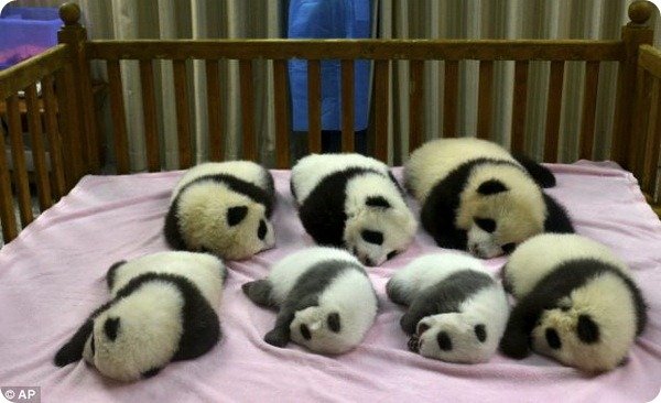 Для маленькой дочки я связала костюмчик :)