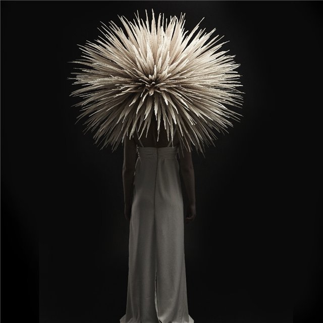 Перья. Скандальный дизайнер Джесс Итон (JessEaton) или искусство бывает разным (фото 3)