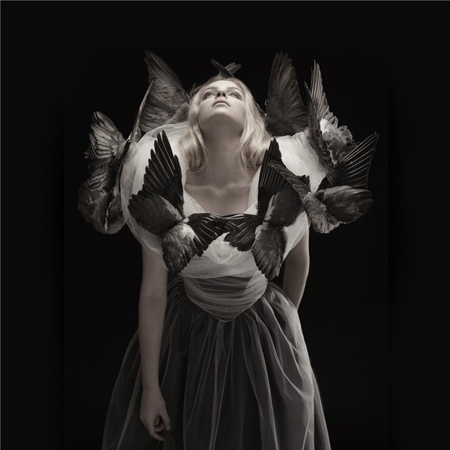 Перья. Скандальный дизайнер Джесс Итон (JessEaton) или искусство бывает разным (фото 4)