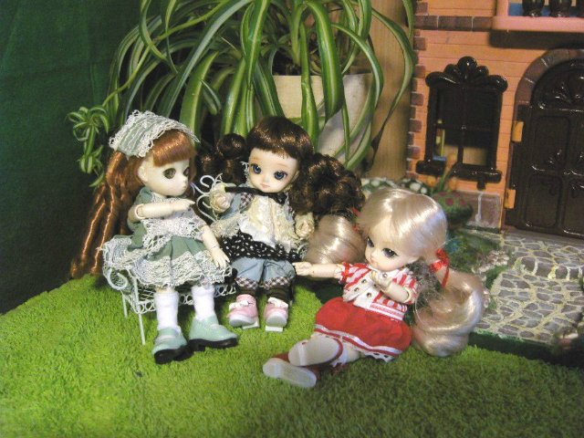 В моем новом домике новоселы