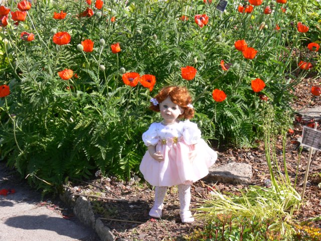 Прогулка в Ботаническом саду Санкт Петербурга. Часть 3. Садовая клумба (фото 9)