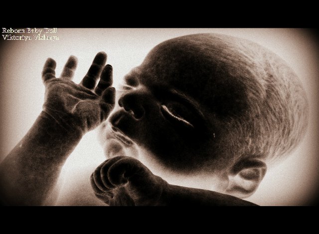 Лапуля Knox... Куколка реборн Виктории Вишни