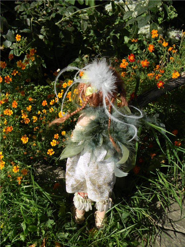 В сентябре пришло к нам лето! Мальва Zwergnase, мой рыжий эльфик