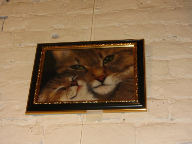 Медвежий праздник в Санкт-Петербурге. Часть 2