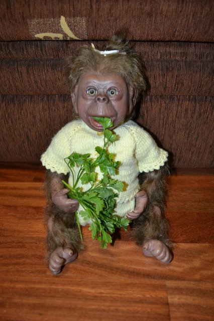 Главное не победа, главное -участие (фото 3)