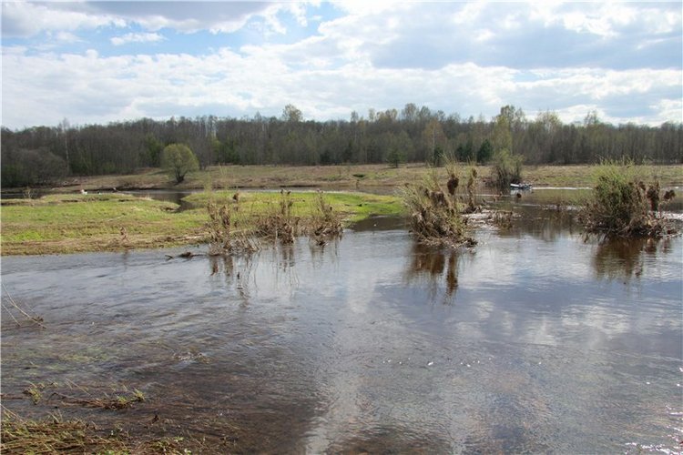 На водопад с Райли. Riley от автора Helen Kish