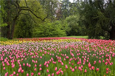 Остров Майнау. Германия — Туризм и путешествия: фотоотчеты из поездок