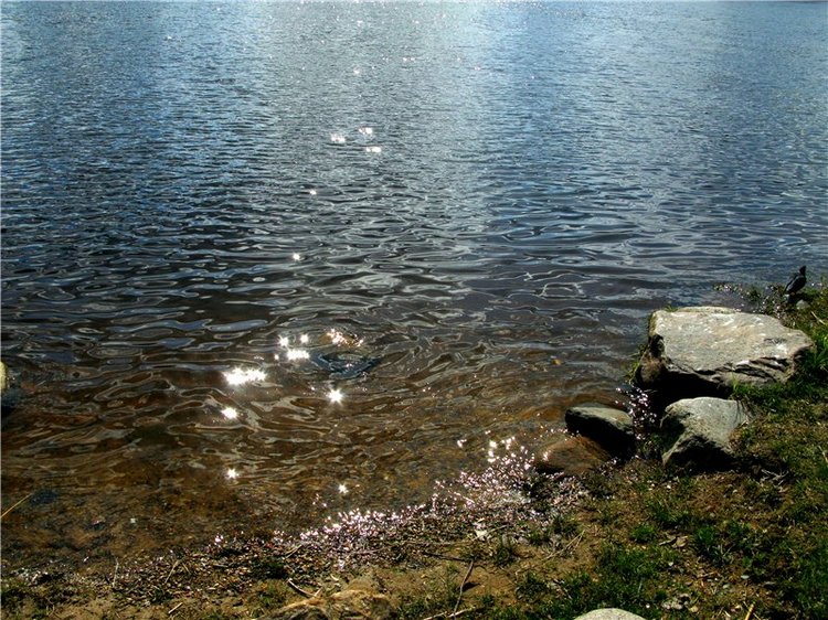 Тверская прогулка вдоль Волги - Матушки реки