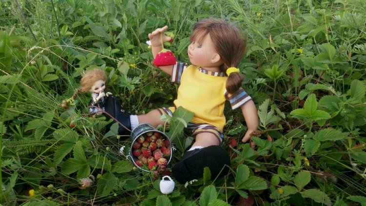 Земляничный день — Домашние коллекции кукол: фото собраний