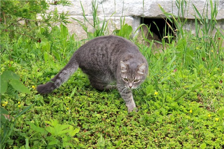 Кашин - город русского сердца. Часть седьмая. Вознесенский кафедральный собор