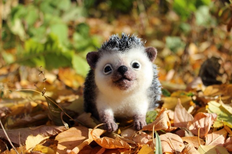 Ежуня. Валяние из шерсти — Валяные игрушки из шерсти: сухое валяние (фото 6)