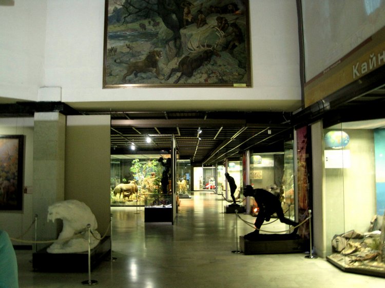 День в музее. Анжела в Государственном Дарвиновском музее