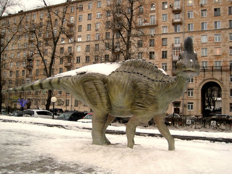 День в музее. Анжела в Государственном Дарвиновском музее (фото 2)