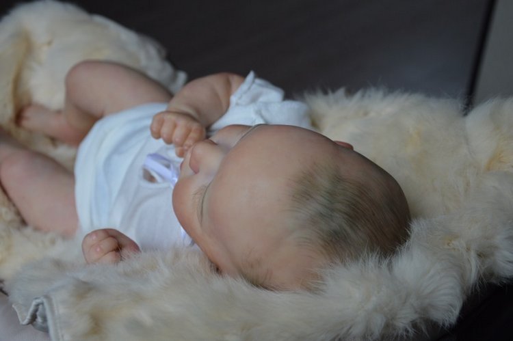 Еще одна Саксия... Еще один пацанчик