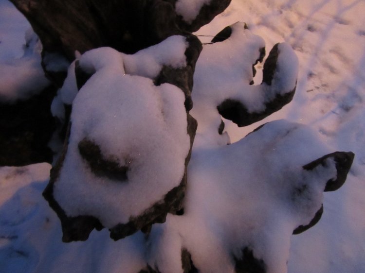 Зимушка моя — Куклы Resinsoul (Резинсоул) и Bobobie: BJD (БЖД)