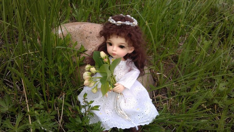 Моя самая необычная девочка