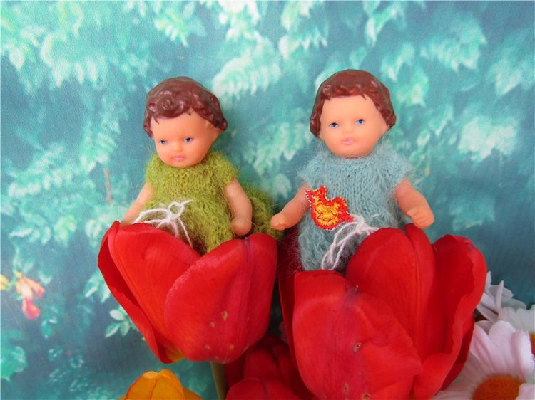 Крокодильчики мои, цветики речные