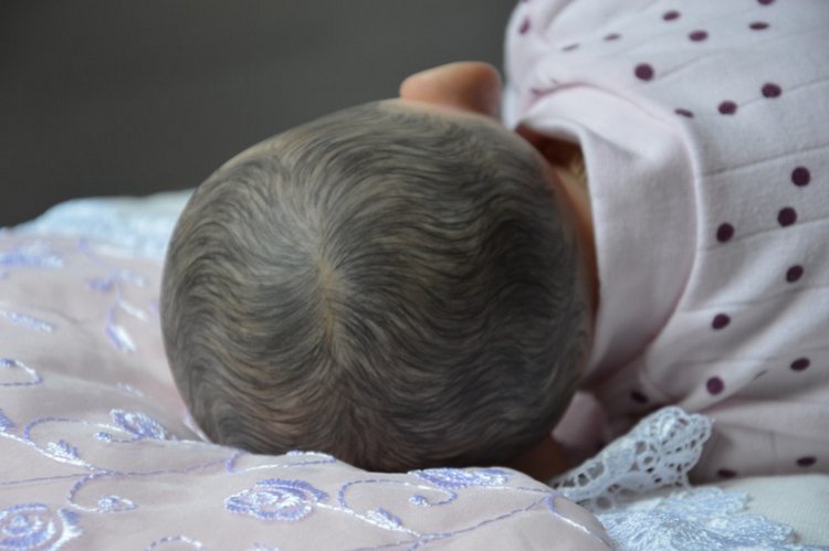 Льдинка севера — Куклы Реборн (Reborn): работы мастеров (фото 7)