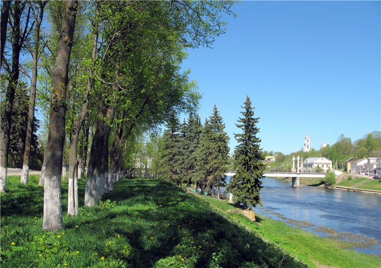 Одуванчиковая нежность, прогулка по Торжку (фото 4)