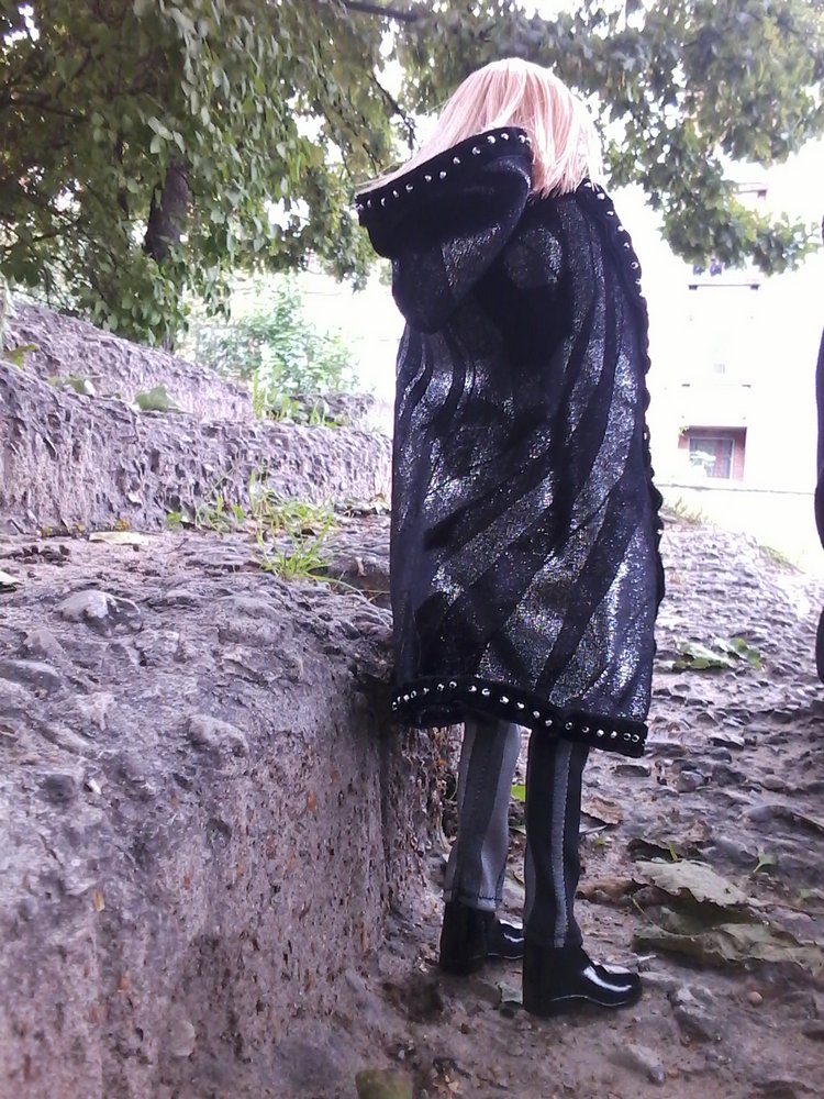 Зимнее солнце. Глава 1. Сказочный поезд