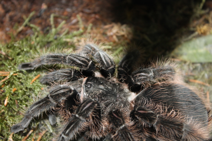 По Германии: зоопарк Лейпцига, часть 1