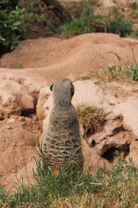 По Германии: зоопарк Лейпцига, часть 3