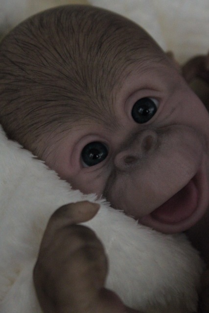 Карамелька кукла-реборн Элины Кудрявцевой (фото 2)