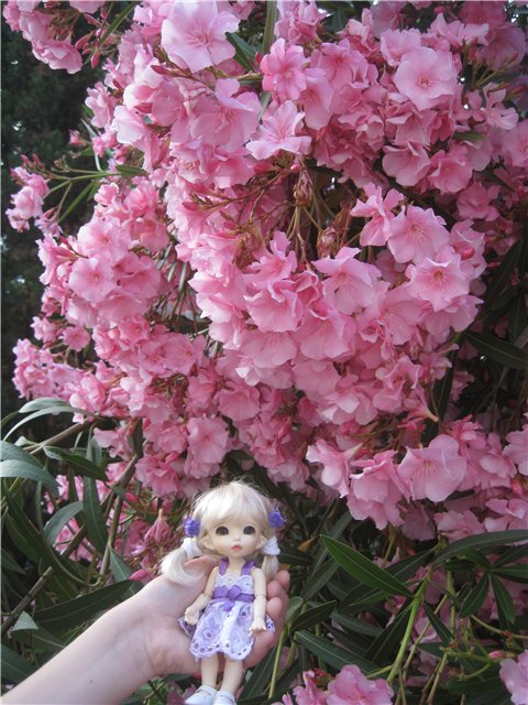 Летний отдых на море БЖДешечки Элис