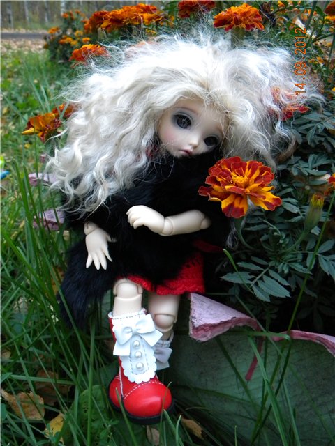 Исилиэль хочет познакомиться. Little Fee Луна | Бэйбики Исилиэль хочет познакомиться. Little Fee Луна