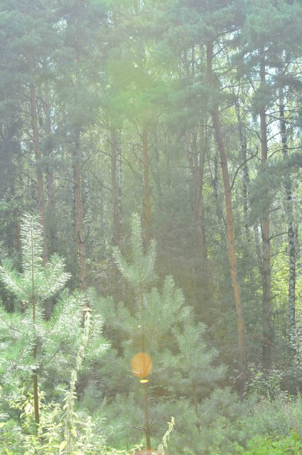 Galoob - Baby Face, часть 8. Красная шапочка (фото 10)