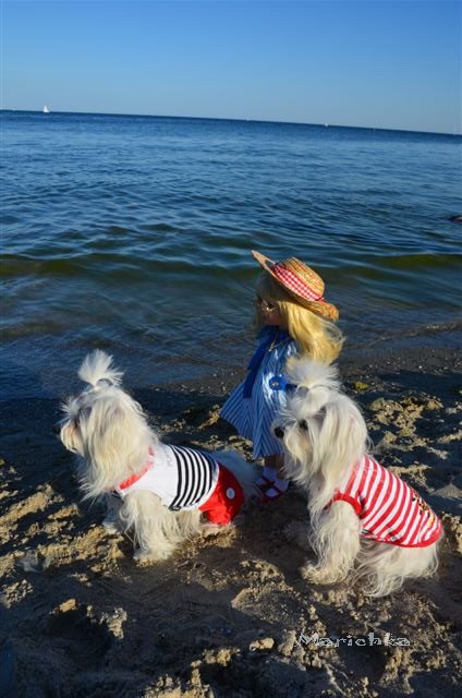 Балерина Хлоя или наше участие в конкурсе "Кукла и питомец" (фото 3)