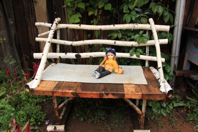 По грибы. Бузулукский бор