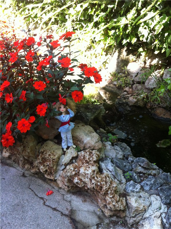 Большое путешествие маленькой девочки. Kaye Wiggs, Nutmeg