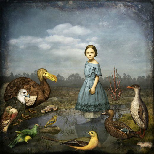 Глубока ли кроличья нора или Хэллоуин в Зазеркалье