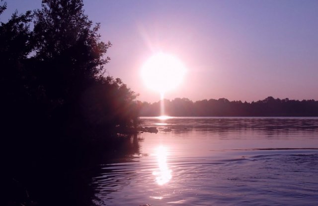 Сиреневое настроение или девочка от Сьюзен Крей (фото 10)