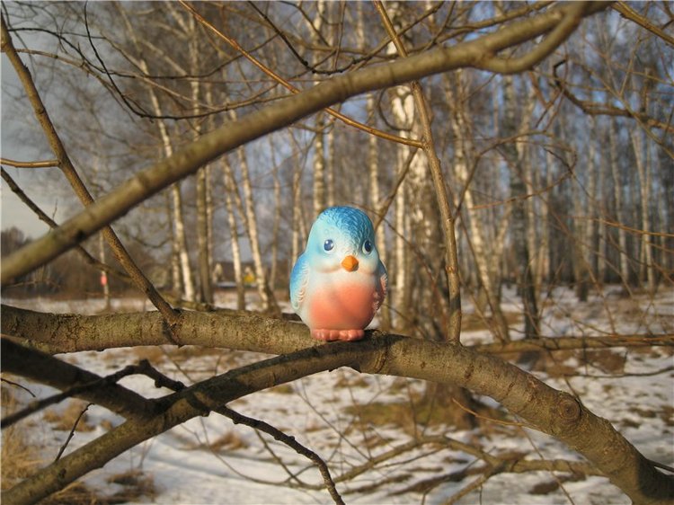 В сказочном лесу — Куклы Fairyland (ФэйриЛэнд): BJD (БЖД)