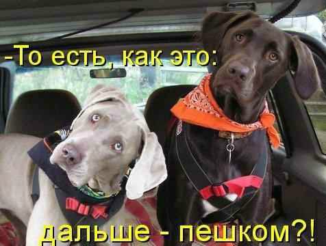 Понедельник - день тяжёлый | Бэйбики Понедельник - день тяжёлый